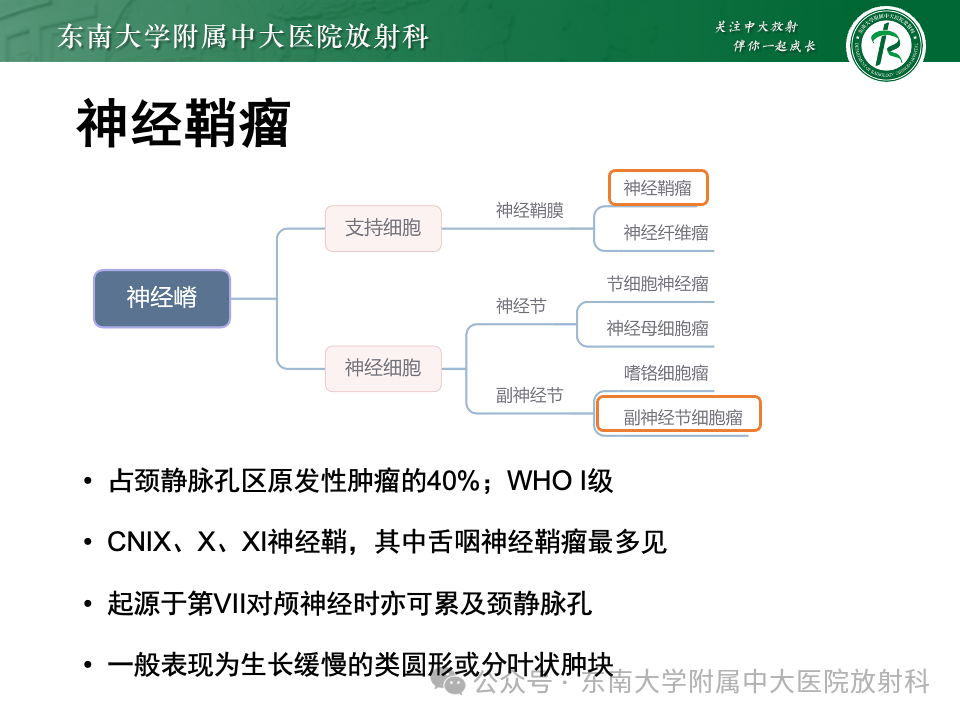 影像PPT - 【PPT】颈静脉孔区肿瘤-19 影像PPT - 【PPT】颈静脉孔区肿瘤-19