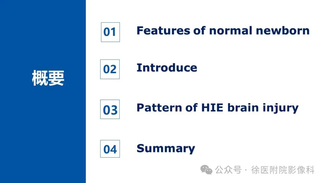 影像PPT - 【PPT】新生儿缺氧缺血性脑病-2