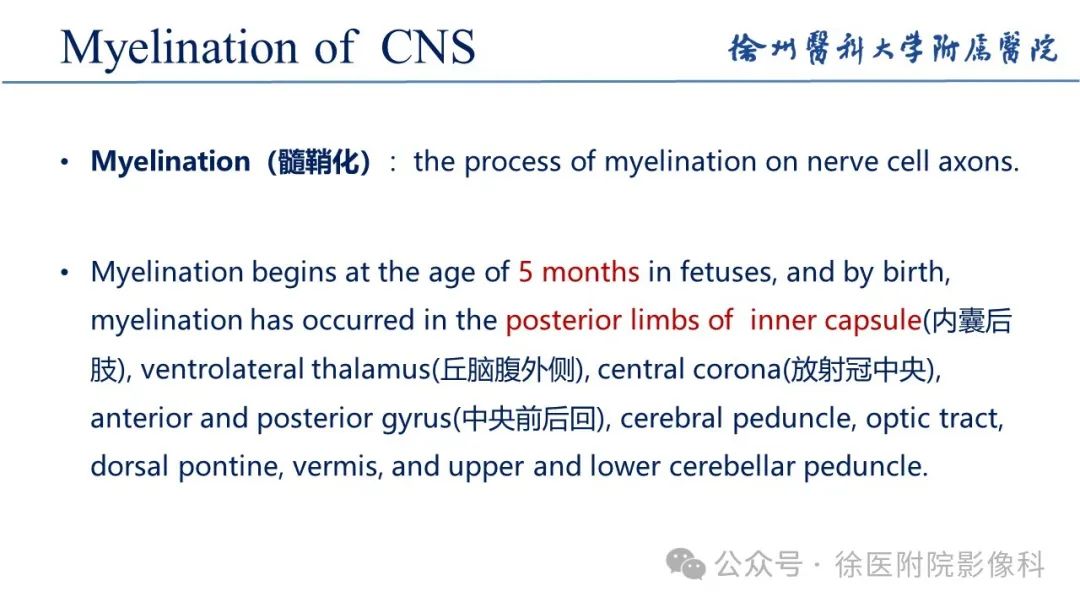 影像PPT - 【PPT】新生儿缺氧缺血性脑病-5