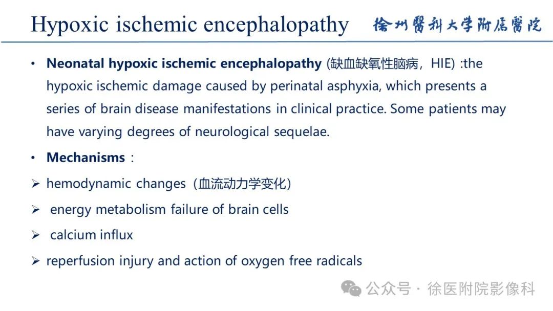 影像PPT - 【PPT】新生儿缺氧缺血性脑病-9