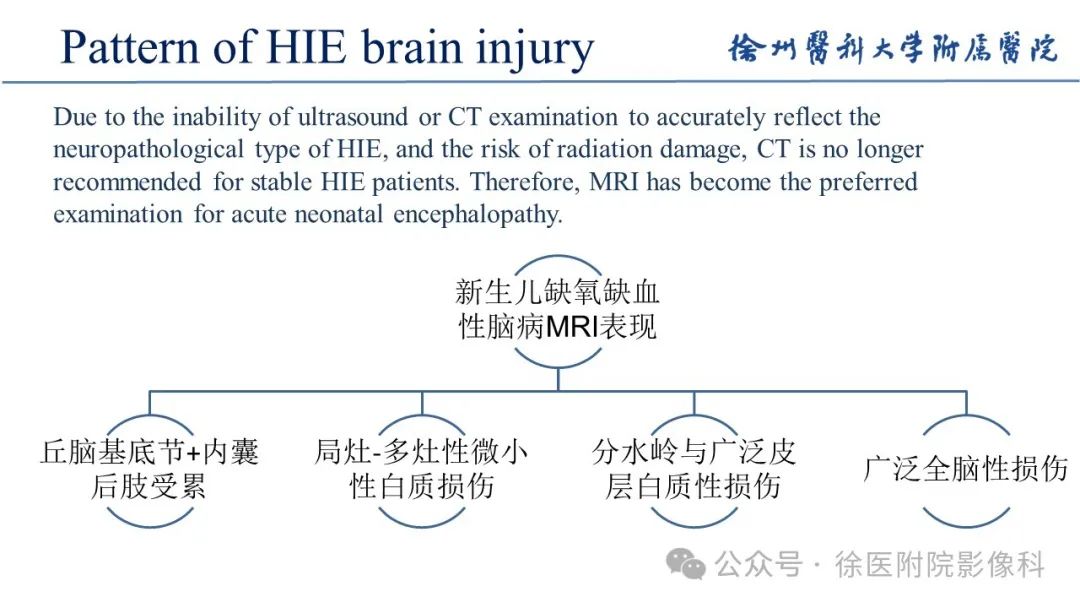 影像PPT - 【PPT】新生儿缺氧缺血性脑病-11