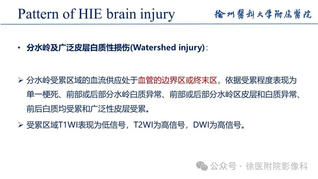 影像PPT - 【PPT】新生儿缺氧缺血性脑病-18