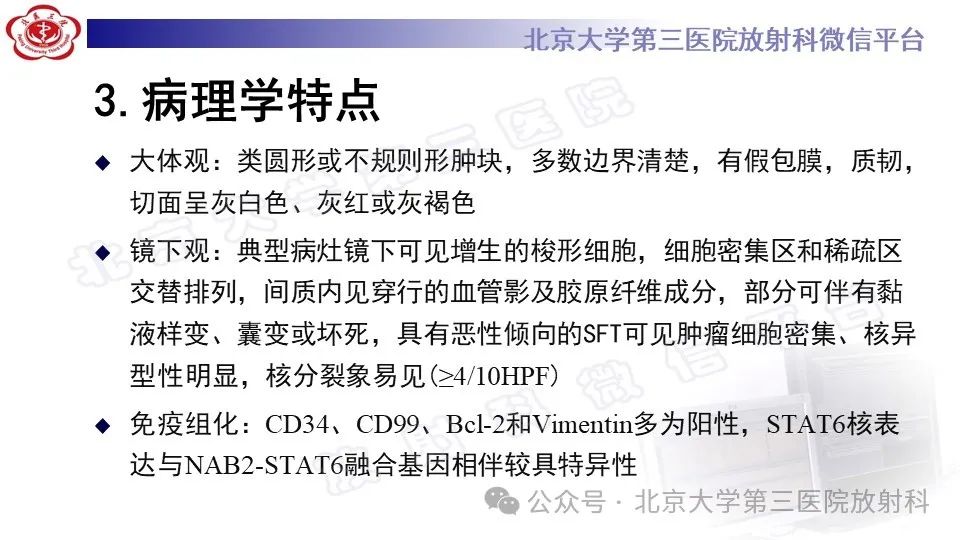 影像PPT - 【PPT】盆腔孤立性纤维性肿瘤-12