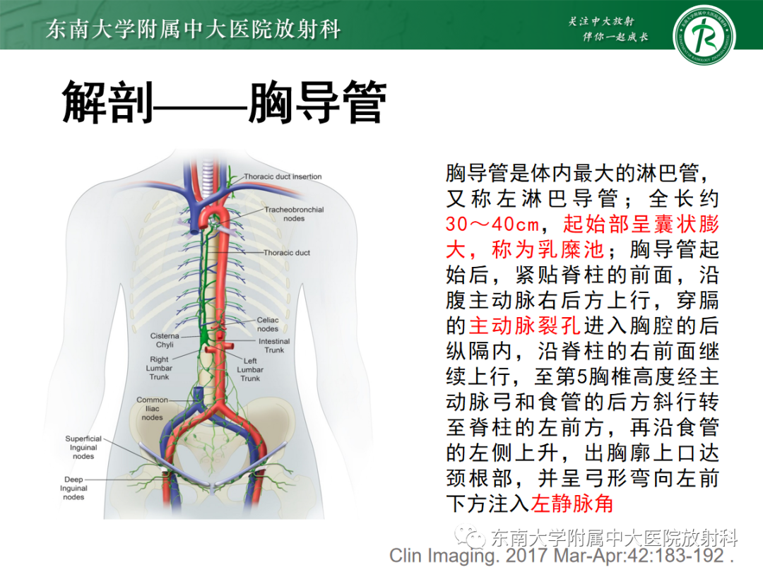 影像PPT - 【PPT】扩大乳糜池的影像表现及其鉴别诊断-6 影像PPT - 【PPT】扩大乳糜池的影像表现及其鉴别诊断-6