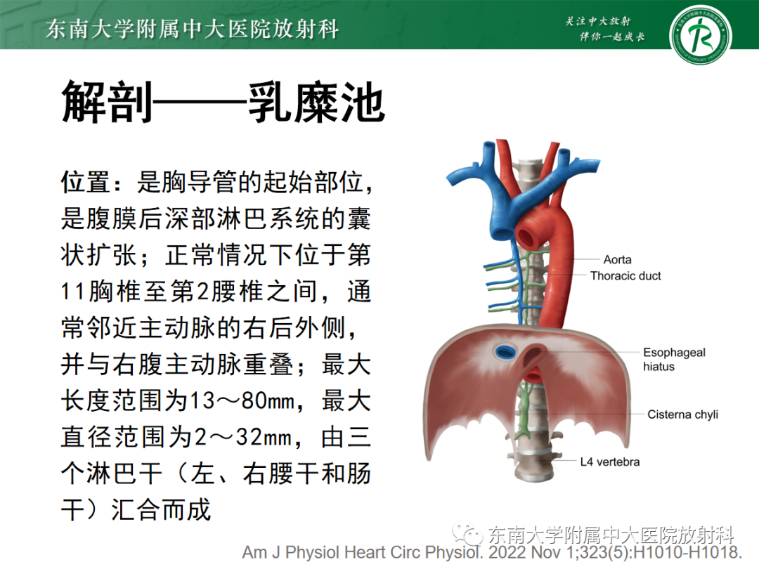 影像PPT - 【PPT】扩大乳糜池的影像表现及其鉴别诊断-7 影像PPT - 【PPT】扩大乳糜池的影像表现及其鉴别诊断-7