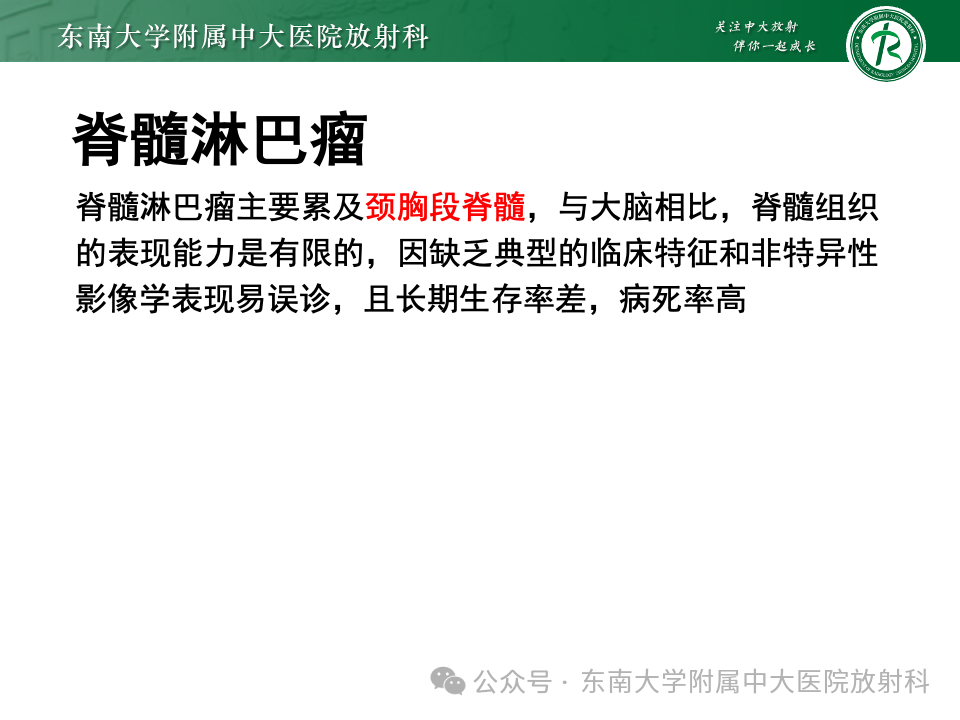 影像PPT - 【PPT】脊髓罕见占位性病变-20 影像PPT - 【PPT】脊髓罕见占位性病变-20