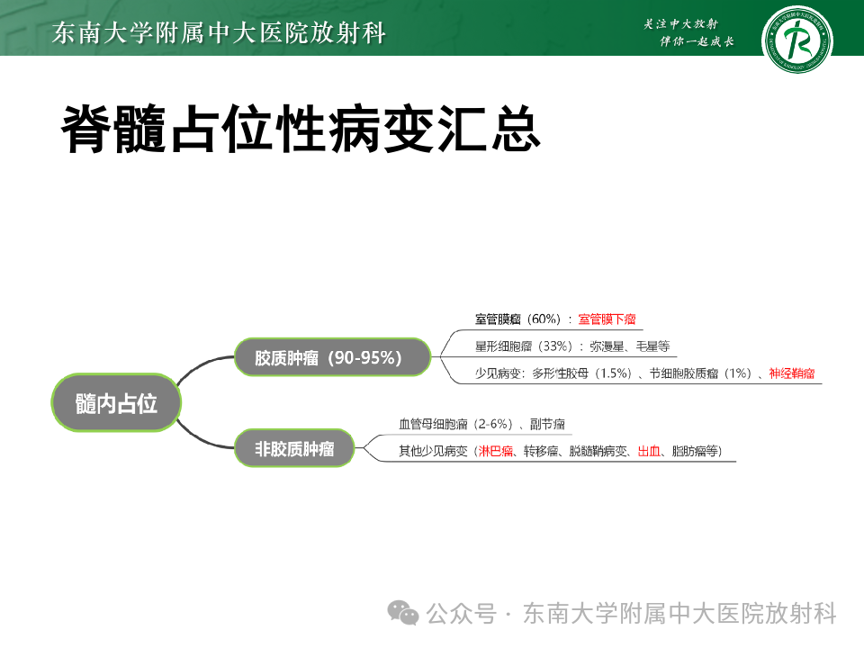 影像PPT - 【PPT】脊髓罕见占位性病变-64 影像PPT - 【PPT】脊髓罕见占位性病变-64