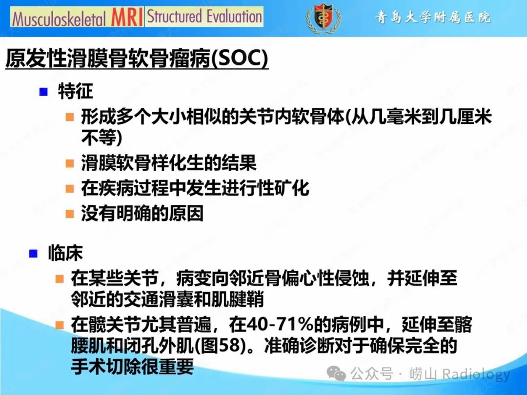 影像PPT - 【PPT】感染和炎症/关节炎-28